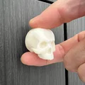 Núm Tủ Sọ Yorick (Yorick Skull Knob) - Thumbnail 2
