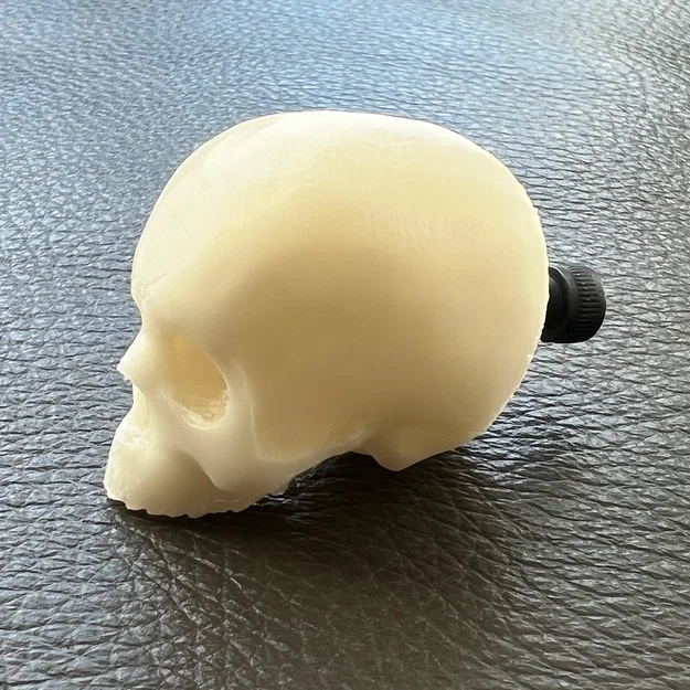 Núm Tủ Sọ Yorick (Yorick Skull Knob) - Image 5