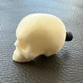 Núm Tủ Sọ Yorick (Yorick Skull Knob) - Thumbnail 5