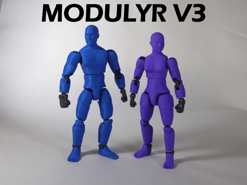 MODULYR V3 - Action Figure Siêu Thật (Realistic) In 3D - Image 1