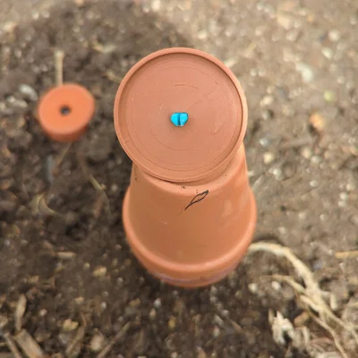Nắp Olla cho chậu hoa terracotta 2" (2" Flower Pot Olla Cap)