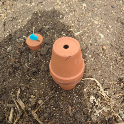 Nắp Olla cho chậu hoa terracotta 2" (2" Flower Pot Olla Cap)