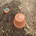Nắp Olla cho chậu hoa terracotta 2" (2" Flower Pot Olla Cap) - Thumbnail 6