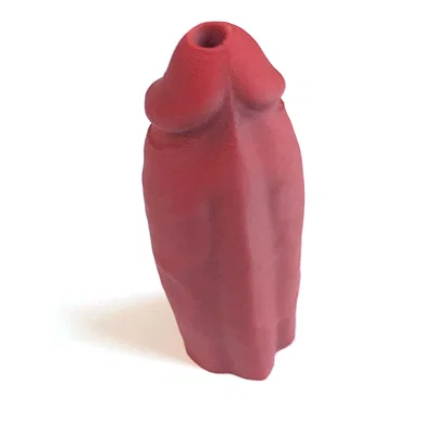 Còi thổi cầm tay độc lạ - Phụ kiện móc khóa in 3D thú vị
