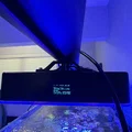 Ngàm gắn rail RMS cho Reefi Uno (Reefi Uno RMS Rail Mount) - Thumbnail 3