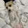 Lode_774796