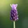 GabrielGremi_3408309