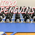 Micro Penguins (Chim cánh cụt siêu nhỏ) - Thumbnail 1