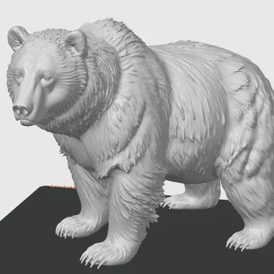 Mô hình 3D Gấu Grizzly oai vệ trang trí cực chi tiết