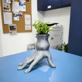 Chậu cây cầm tay – Nhận 300 model trên PATREON - Thumbnail 7