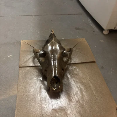 Sọ Sói Dire (Aenocyon dirus) - Skull of a Dire Wolf