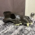 Sọ Sói Dire (Aenocyon dirus) - Skull of a Dire Wolf - Thumbnail 5