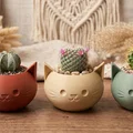 Chậu Trồng Sen Đá Mèo Cute Kawaii (Cute Kawaii Cat Succulent Planter) - Thumbnail 1
