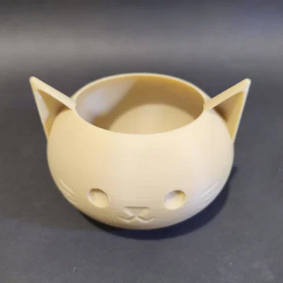 Chậu Trồng Sen Đá Mèo Cute Kawaii (Cute Kawaii Cat Succulent Planter)