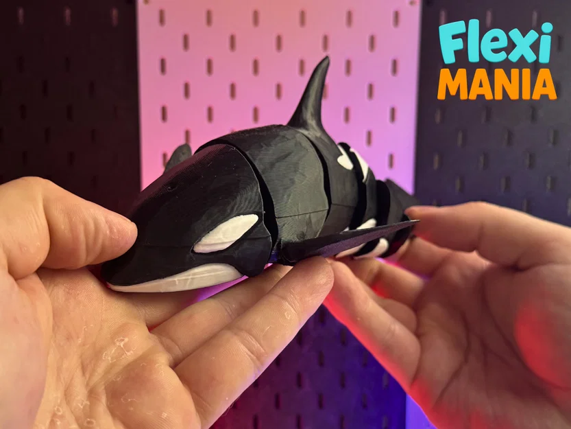 Flexi Orca Willy – Orca Print-in-Place khớp nối, không cần Support - Image 3