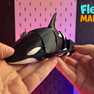 Flexi Orca Willy – Orca Print-in-Place khớp nối, không cần Support