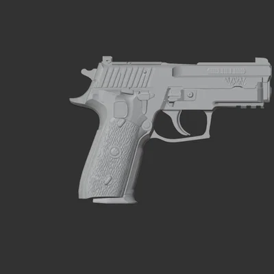 Sig Sauer P229 (tỉ lệ 1:1)