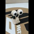 SAMMY SNAIL v2 – Ốc sên Sammy mắt to siêu dễ thương - Thumbnail 2