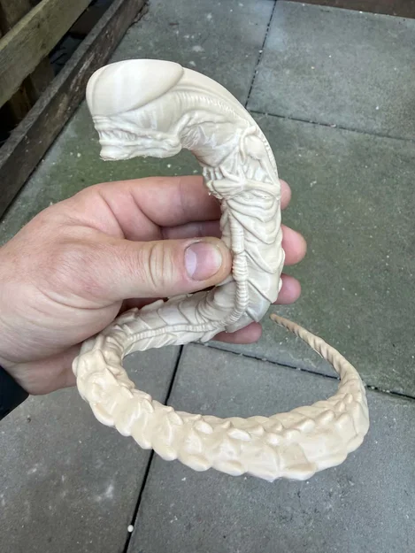 Alien Chestburster tấn công - Image 4