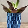 Chậu có họa tiết vảy (Pot with scales) - Thumbnail 2