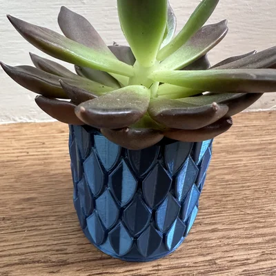 Chậu có họa tiết vảy (Pot with scales)