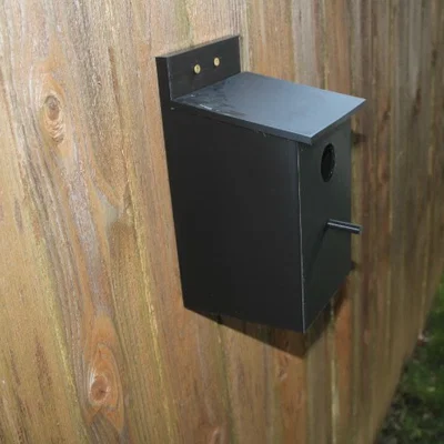 Nhà Chim (Bird House)