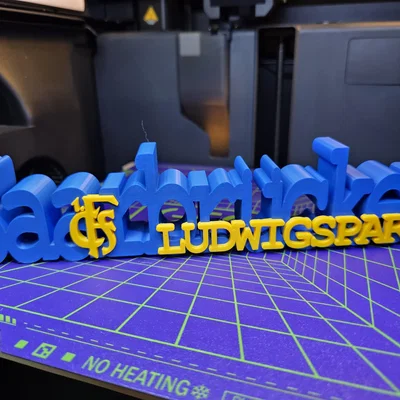 Mô hình 3D logo 1. FC Saarbrücken và Ludwigspark trang trí