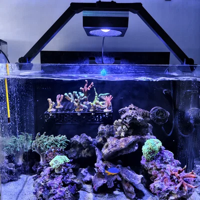 Giá treo đèn thủy sinh Pop Bloom RL90 (Hồ rộng 501mm, kính 6mm)