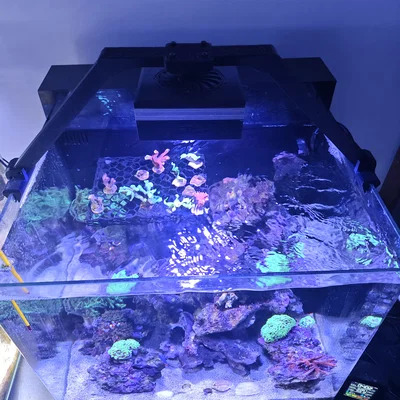 Giá treo đèn thủy sinh Pop Bloom RL90 (Hồ rộng 501mm, kính 6mm)