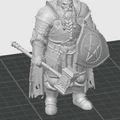 Mô hình 3D Dwarf Paladin - Chiến binh người lùn cho game D&D - Thumbnail 1