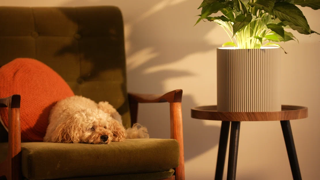 Chậu Cây Cảm Biến Hiện Diện (Presence Sensing Planter) - Image 2