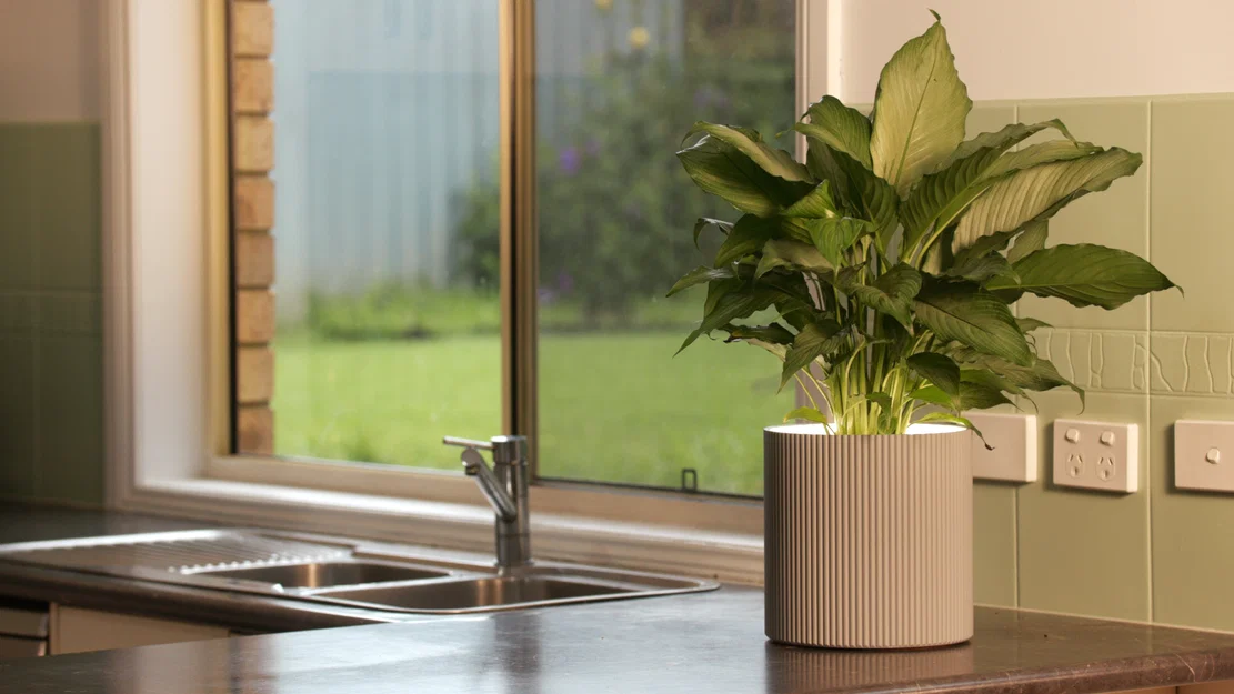 Chậu Cây Cảm Biến Hiện Diện (Presence Sensing Planter) - Image 3