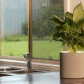 Chậu Cây Cảm Biến Hiện Diện (Presence Sensing Planter) - Thumbnail 3