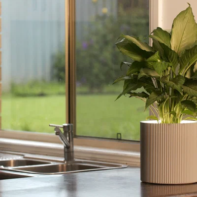 Chậu Cây Cảm Biến Hiện Diện (Presence Sensing Planter)