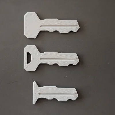 Zuiki Mascon Pro Key – Key thay thế cho Zuiki Mascon Pro Controller
