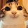 Saiko_3283474