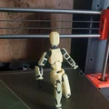 Mô hình Dummy 13 Easy - Phiên bản in 3D trên khung siêu tiết kiệm - Thumbnail 2