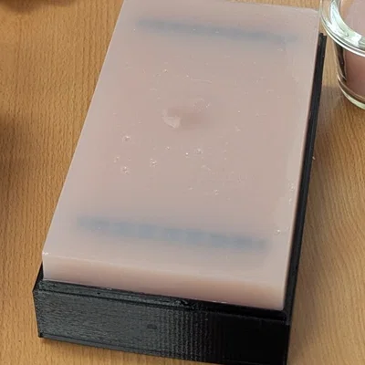 Phantom Cannula Siêu Âm (Ultrasound Cannula Phantom)