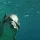 Justin_D_2210725