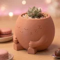 Sleepy Pot – Chậu Ngủ Gật Trang Trí Bàn & Chậu Trồng Cây Xinh - Thumbnail 2