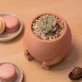 Sleepy Pot – Chậu Ngủ Gật Trang Trí Bàn & Chậu Trồng Cây Xinh - Thumbnail 3