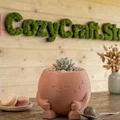 Sleepy Pot – Chậu Ngủ Gật Trang Trí Bàn & Chậu Trồng Cây Xinh - Thumbnail 4