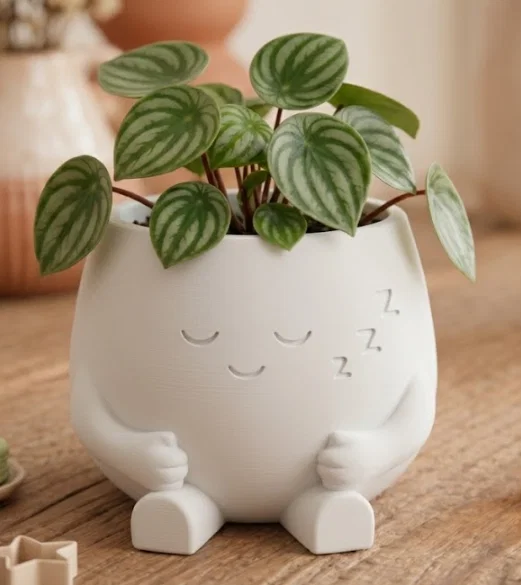 Sleepy Pot – Chậu Ngủ Gật Trang Trí Bàn & Chậu Trồng Cây Xinh - Image 9