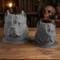 Tượng Bust Đầu American Bully 3D (American Bully Bust) - Thumbnail 1