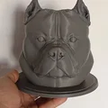 Tượng Bust Đầu American Bully 3D (American Bully Bust) - Thumbnail 3