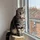 Mavrucy_1324100