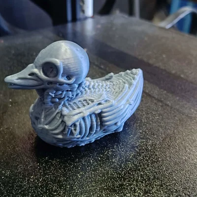 Chú vịt xương (Skeleton ducky)
