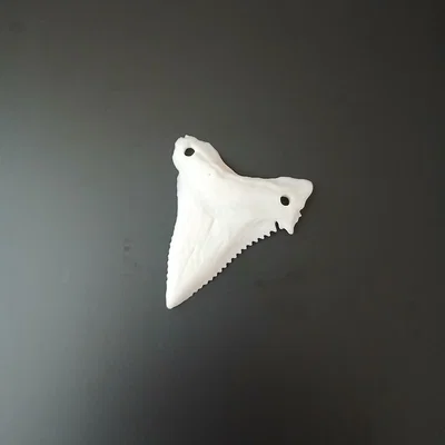 Răng Cá Mập Chân Thực (Realistic Shark Tooth)