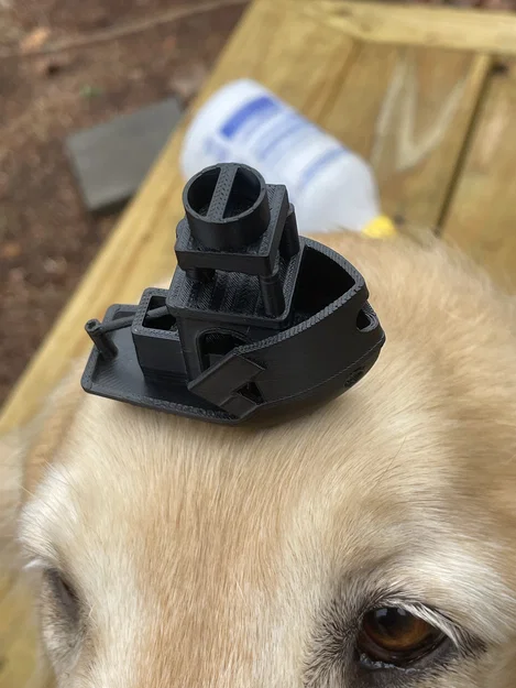 Chiếc benchy tra tấn trong cơn ác mộng tệ nhất của bạn! - Image 2