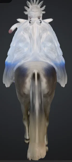 Mô hình 3D người phụ nữ cưỡi ngựa huyền bí (Frau auf einen pferd) - Image 5